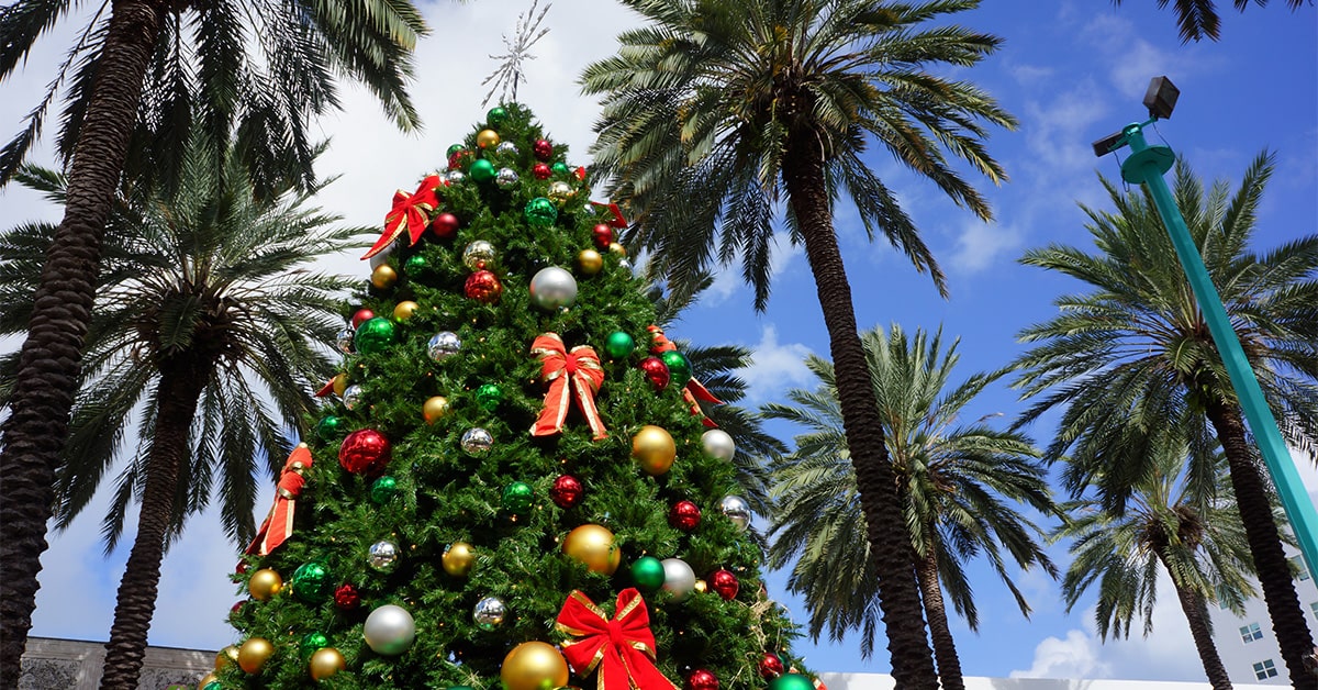 Top Sarasota Holiday Events You Won’t Want to Miss