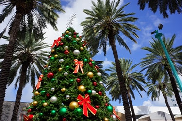 10 Sarasota Holiday Events You Won’t Want to Miss